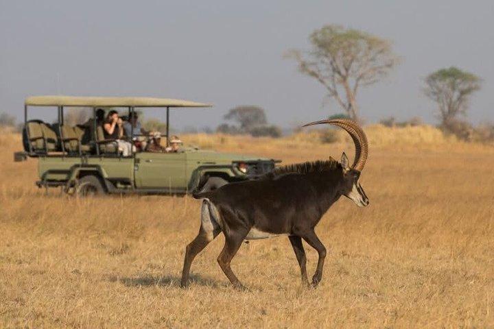 Chobe Day Trip Game Drive River Safari and Buffet Lunch