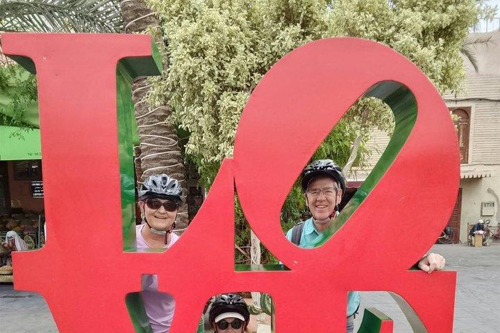 Elcykeltur Marrakech med lokal Guide