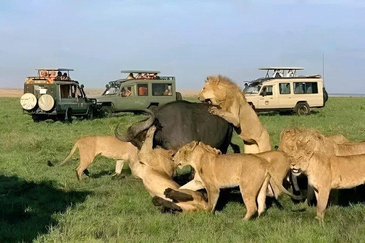 ナイロビのオル・ペジェタ・スウィートウォーターズ保護区