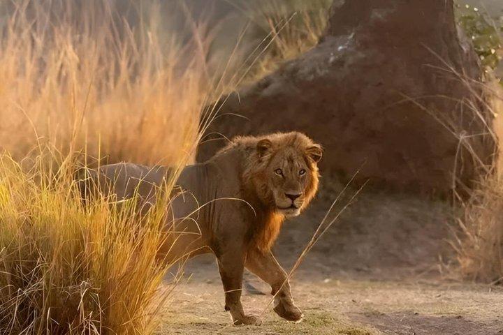 ナイロビのオル・ペジェタ・スウィートウォーターズ保護区