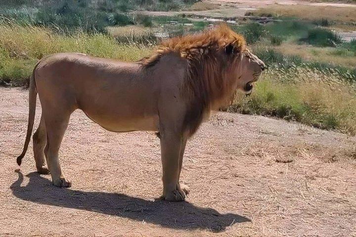 ナイロビのオル・ペジェタ・スウィートウォーターズ保護区
