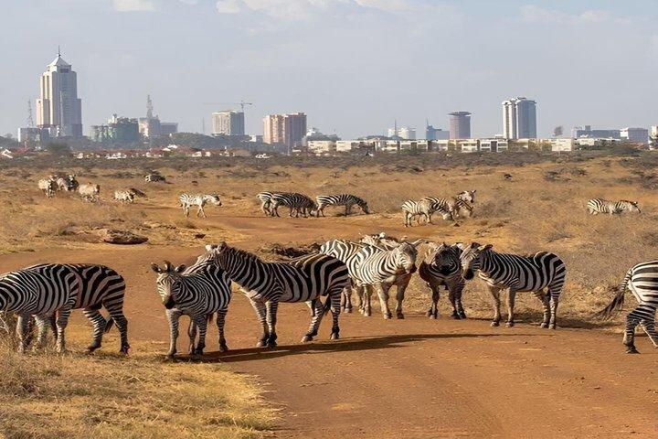 ナイロビのオル・ペジェタ・スウィートウォーターズ保護区