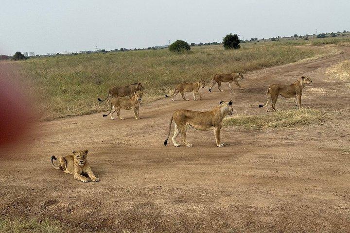 ナイロビのオル・ペジェタ・スウィートウォーターズ保護区