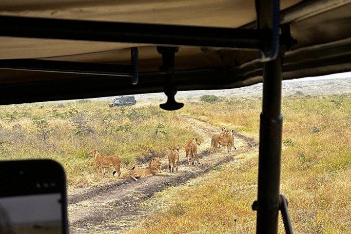 ナイロビのオル・ペジェタ・スウィートウォーターズ保護区