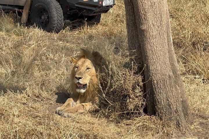 ナイロビのオル・ペジェタ・スウィートウォーターズ保護区