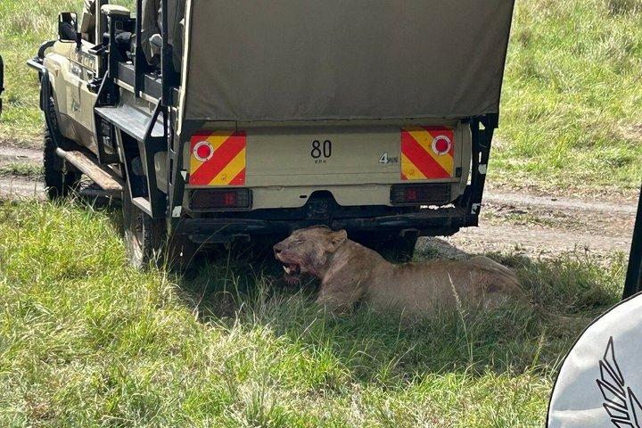 ナイロビのオル・ペジェタ・スウィートウォーターズ保護区
