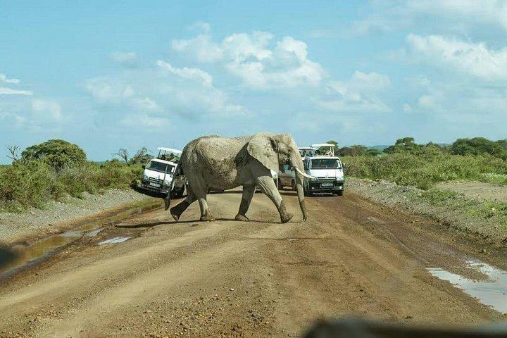 ナイロビのオル・ペジェタ・スウィートウォーターズ保護区