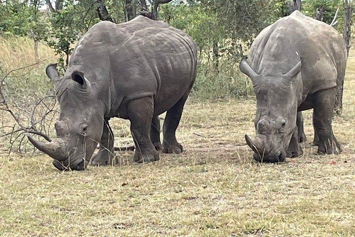 ナイロビのオル・ペジェタ・スウィートウォーターズ保護区