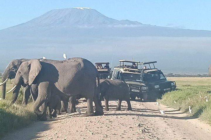 ナイロビのオル・ペジェタ・スウィートウォーターズ保護区