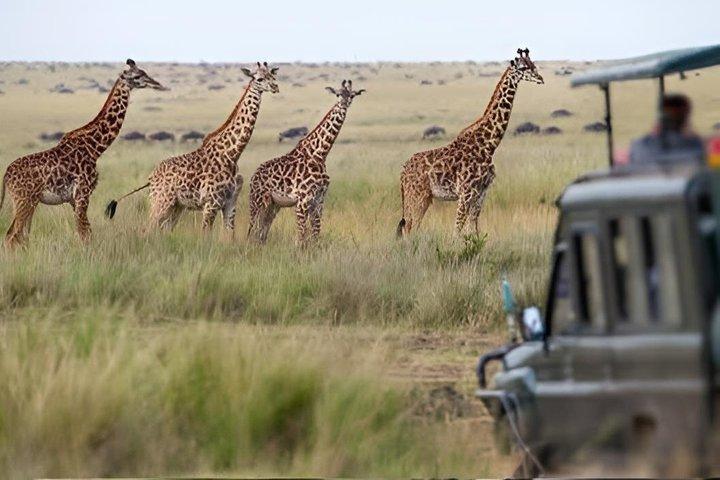 ナイロビのオル・ペジェタ・スウィートウォーターズ保護区