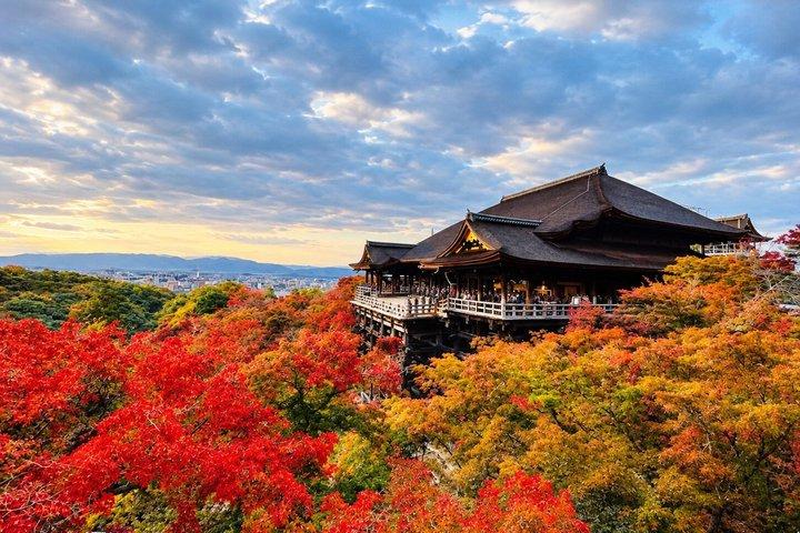 Kyoto und Nara private Familientour mit Englisch sprechendem Fortgeschrittener