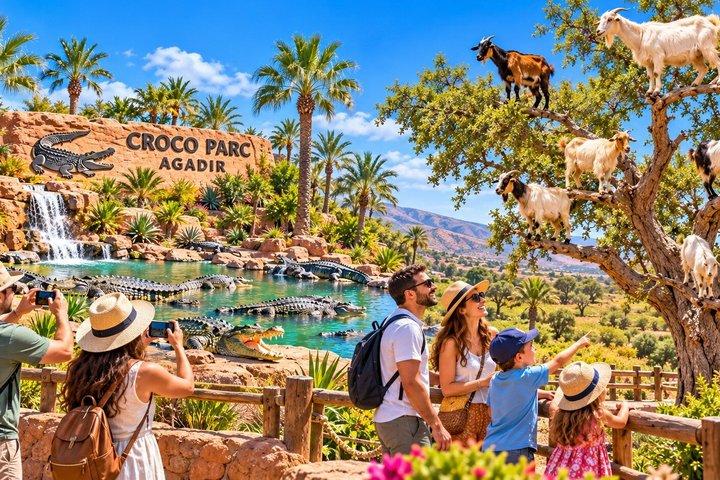 Agadir : Goats in the Trees and a visit to Crocoparc