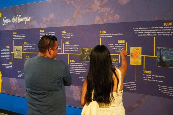 Van Gogh museum spring over køen med lydguide-tur