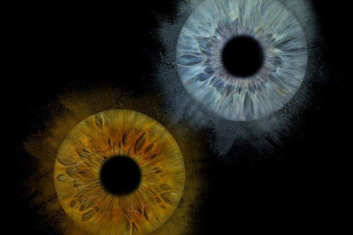 パリのマレ地区で撮影したあなたの虹彩の写真と額装されたプリント