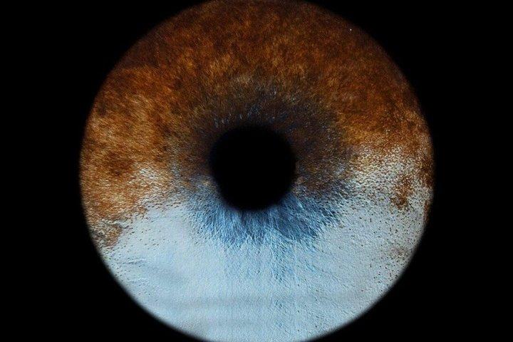 パリのマレ地区で撮影したあなたの虹彩の写真と額装されたプリント