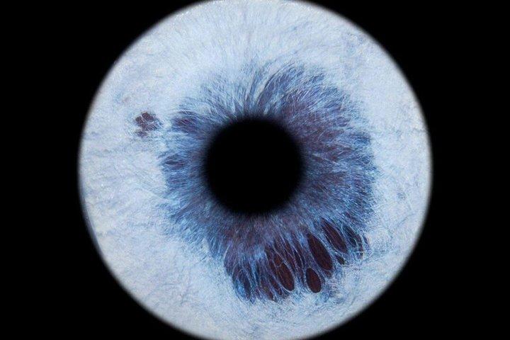 パリのマレ地区で撮影したあなたの虹彩の写真と額装されたプリント