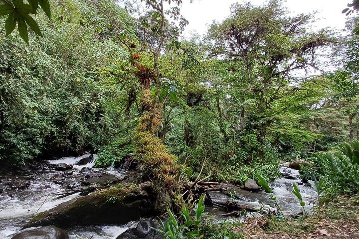 Let's go to Mindo cloudforest! Private Tour.