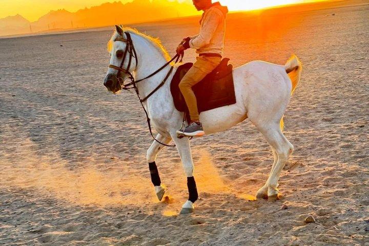 Horseback Ride in Punta Cana with Macao Coast Views