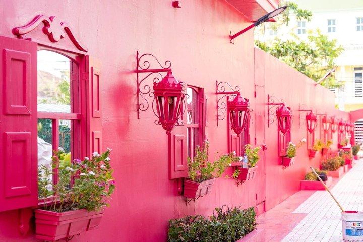 2x1: City Tour & Monkey Encounter tour combo Puerto plata