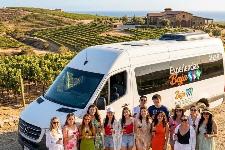 Fiesta night tours Valle de Guadalupe/Sala de despecho/la Justina