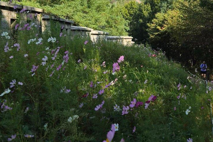 ソウルプライベートウォーク：景福宮、北村韓屋と仁王山カフェ