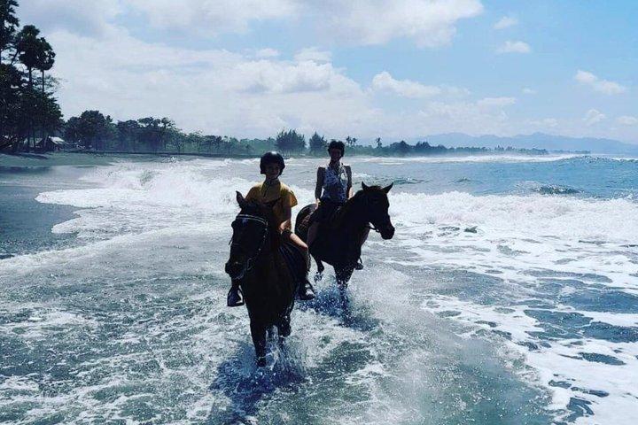 Bali Saba Horse Riding Through a Local Temple Experience