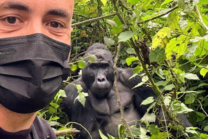 3-Day Uganda Gorilla trekking and Shoe Bill tracking