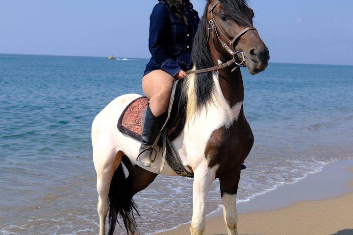 Horse back Riding in Antalya