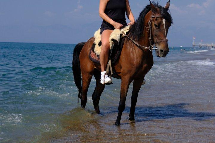 Horse back Riding in Antalya