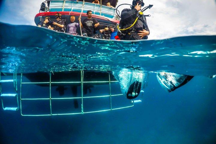 Phuket : Scuba Diving & Snorkel Express Day Tour