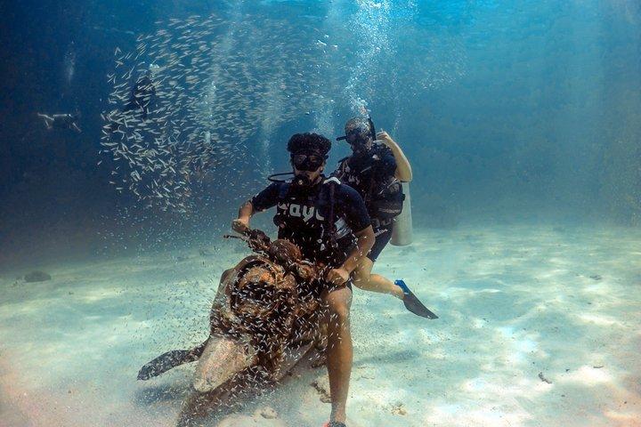 Phuket : Scuba Diving & Snorkel Express Day Tour