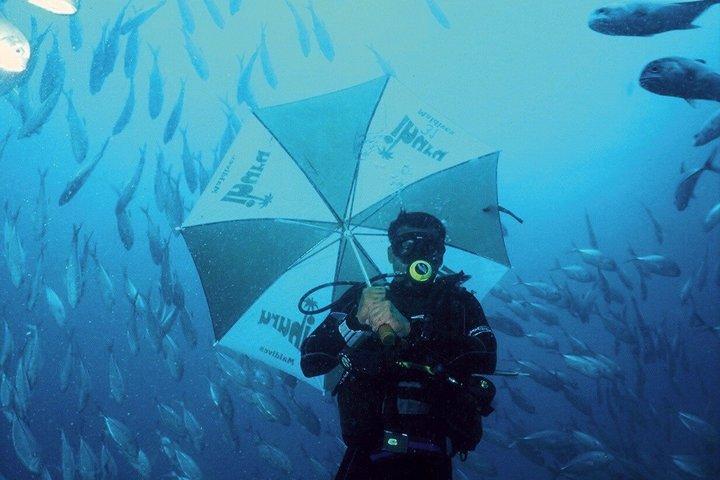 Phuket : Scuba Diving & Snorkel Express Day Tour