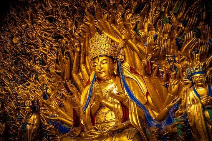 UNESCO Kulturerbe 1-Tages-Privat-Tour zu Felsritzungen