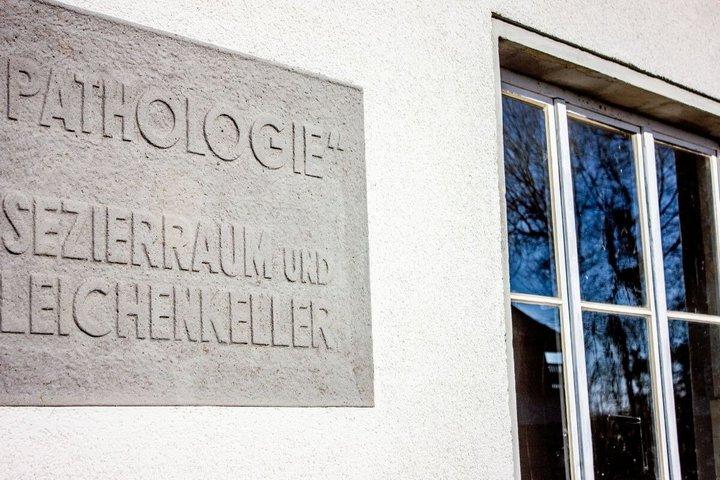 From Berlin: Sachsenhausen Concentration Camp Museum Tour
