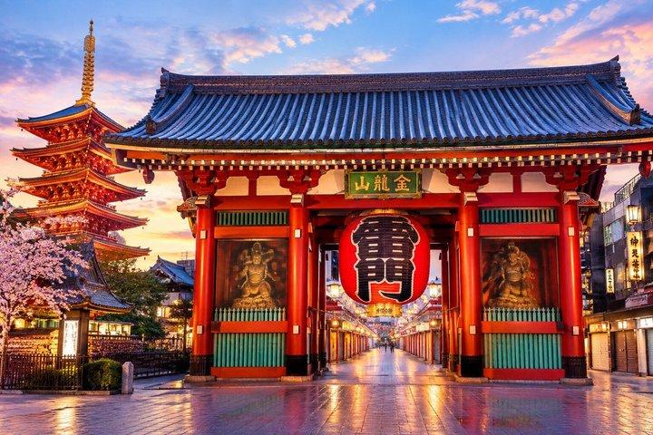東京のハイライト 文化と象徴的なランドマーク満喫一日ツアー