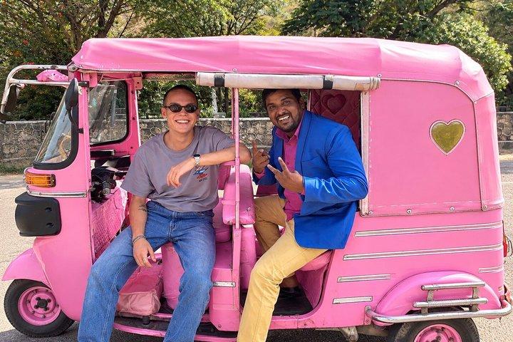 Jaipur Pink City Guided Tour by Traditional Pink Tuk Tuk