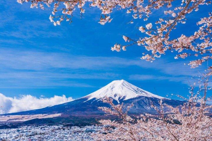 東京発 富士山・御殿場・箱根日帰りツアー