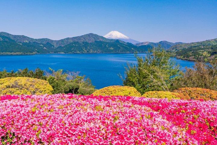 東京発 富士山・御殿場・箱根日帰りツアー