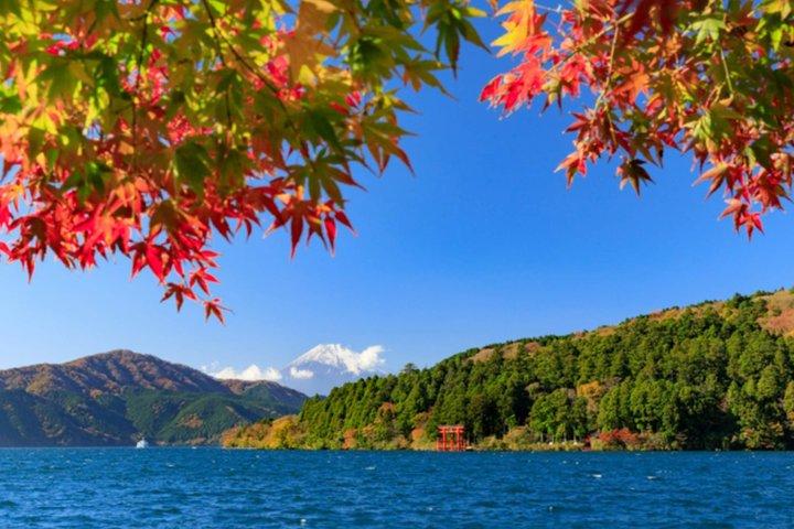 東京発 富士山・御殿場・箱根日帰りツアー