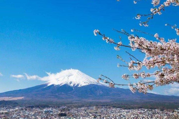 東京発 富士山・御殿場・箱根日帰りツアー
