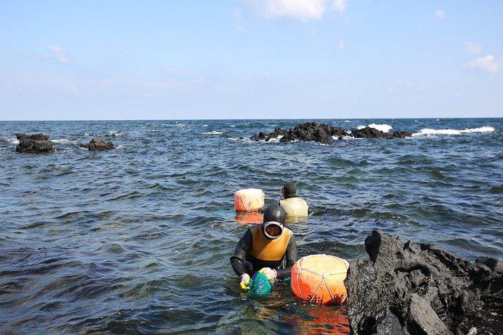済州ユネスコ西南部・東部ハイライト2日間コンボツアー