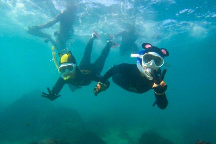 済州ユネスコ西南部・東部ハイライト2日間コンボツアー