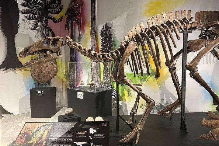 カプリソ・キャバレーショーとタイノサウルス博物館のコンボチケット