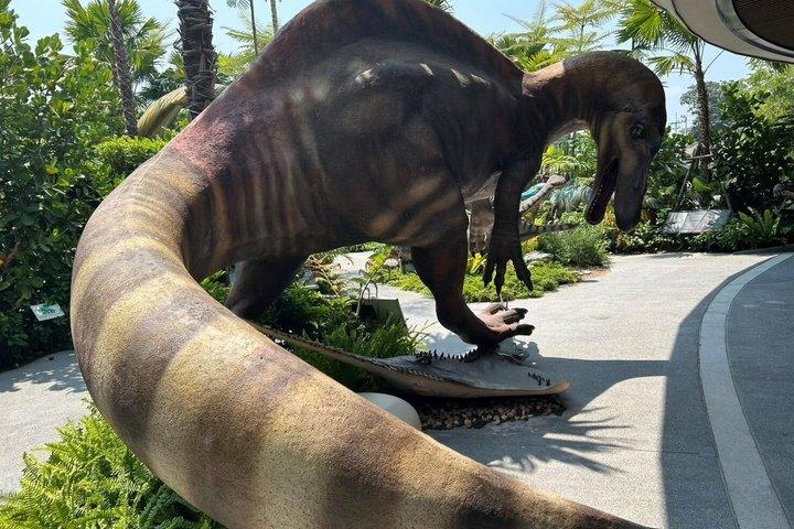 カプリソ・キャバレーショーとタイノサウルス博物館のコンボチケット
