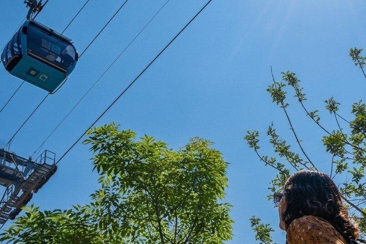 Chapultepec Adventure with Cable Car plus Anthropology Museum