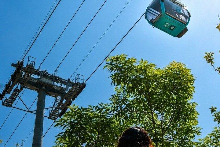 Chapultepec Adventure with Cable Car plus Anthropology Museum