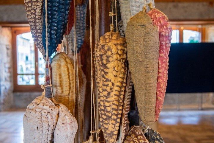 Chapultepec Adventure with Cable Car plus Anthropology Museum