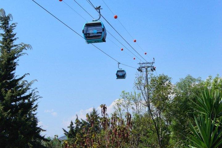 Chapultepec Adventure with Cable Car plus Anthropology Museum