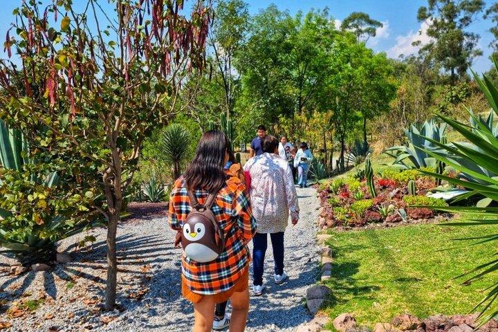 Chapultepec Adventure with Cable Car plus Anthropology Museum