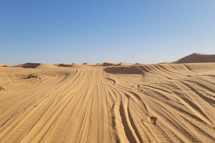 Ksar Ghilane Hot Spring Day Trip from Douz